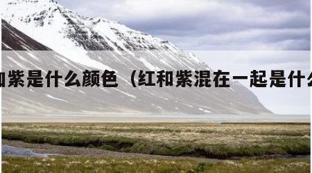 红加紫是什么颜色（红和紫混在一起是什么颜色）