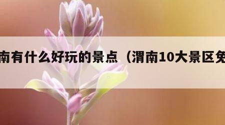 渭南有什么好玩的景点（渭南10大景区免费）