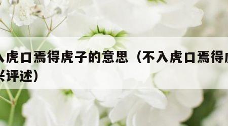 不入虎口焉得虎子的意思（不入虎口焉得虎子即兴评述）