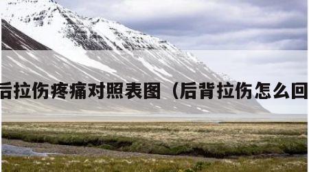 背后拉伤疼痛对照表图（后背拉伤怎么回事）
