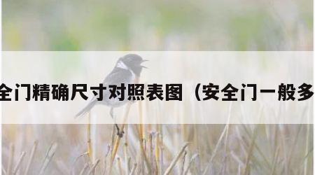 安全门精确尺寸对照表图（安全门一般多宽）