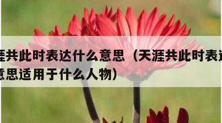 天涯共此时表达什么意思（天涯共此时表达什么意思适用于什么人物）