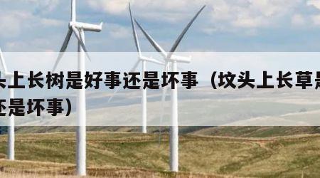 坟头上长树是好事还是坏事（坟头上长草是好事还是坏事）