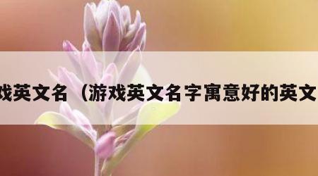 游戏英文名（游戏英文名字寓意好的英文名）