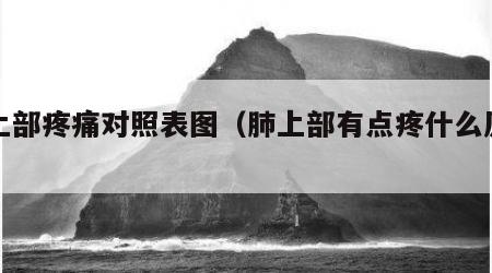 肺上部疼痛对照表图（肺上部有点疼什么原因）