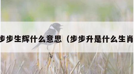 步步生辉什么意思（步步升是什么生肖）