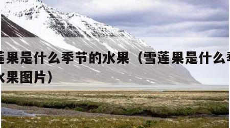 雪莲果是什么季节的水果（雪莲果是什么季节的水果图片）