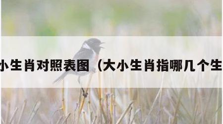 大小生肖对照表图（大小生肖指哪几个生肖）