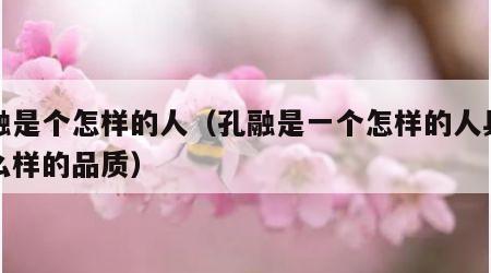 孔融是个怎样的人（孔融是一个怎样的人具有什么样的品质）