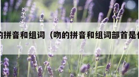 吻的拼音和组词（吻的拼音和组词部首是什么）