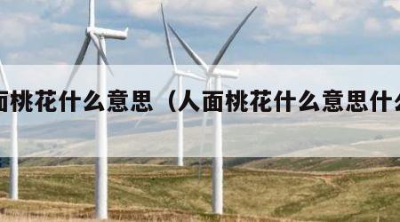 人面桃花什么意思（人面桃花什么意思什么生肖）