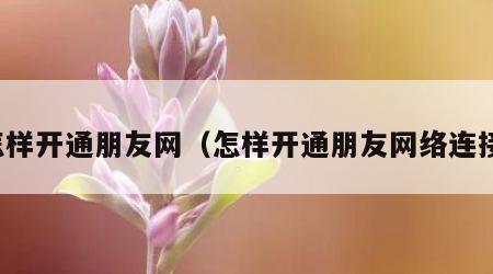 怎样开通朋友网（怎样开通朋友网络连接）