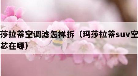 玛莎拉蒂空调滤怎样拆（玛莎拉蒂suv空调滤芯在哪）