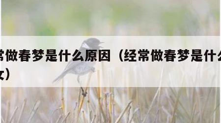 经常做春梦是什么原因（经常做春梦是什么原因女）