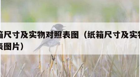 纸箱尺寸及实物对照表图（纸箱尺寸及实物对照表图片）