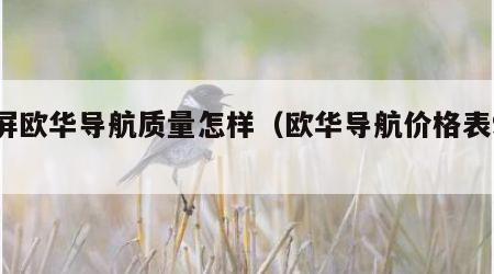 大屏欧华导航质量怎样（欧华导航价格表9寸）