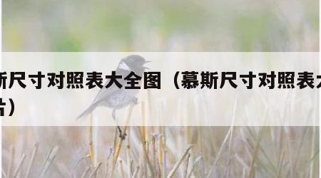 慕斯尺寸对照表大全图（慕斯尺寸对照表大全图片）