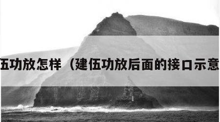 建伍功放怎样（建伍功放后面的接口示意图）