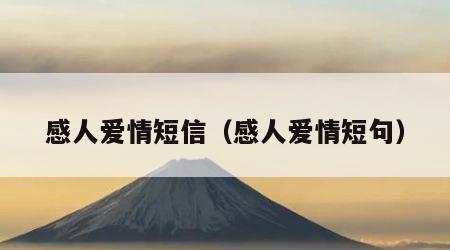 感人爱情短信（感人爱情短句）