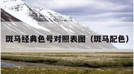 斑马经典色号对照表图（斑马配色）