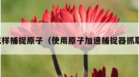怎样捕捉原子（使用原子加速捕捉器抓取）