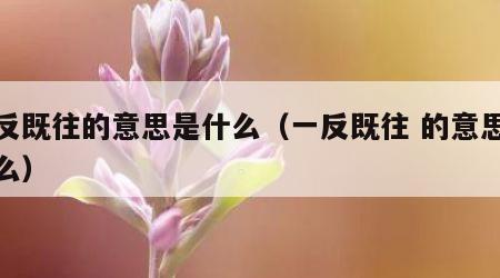 一反既往的意思是什么（一反既往 的意思是什么）