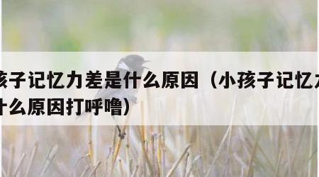 小孩子记忆力差是什么原因（小孩子记忆力差是什么原因打呼噜）