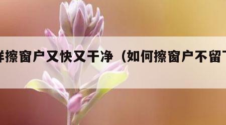 怎样擦窗户又快又干净（如何擦窗户不留下痕迹）