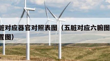 五脏对应器官对照表图（五脏对应六腑图片 位置图）