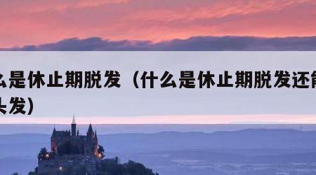 什么是休止期脱发（什么是休止期脱发还能长出头发）