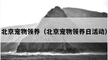 北京宠物领养（北京宠物领养日活动）