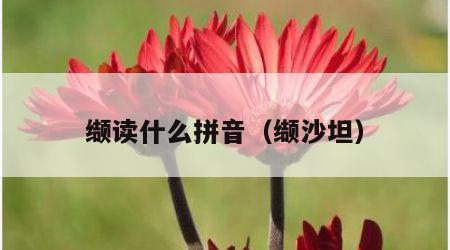 缬读什么拼音（缬沙坦）