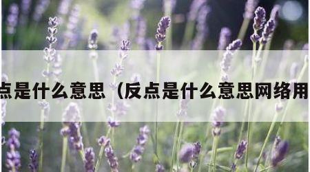 反点是什么意思（反点是什么意思网络用语）