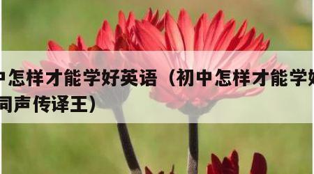 初中怎样才能学好英语（初中怎样才能学好英语,同声传译王）