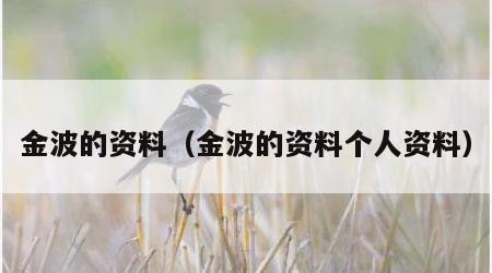 金波的资料（金波的资料个人资料）