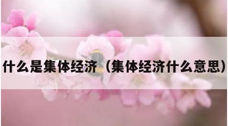 什么是集体经济（集体经济什么意思）