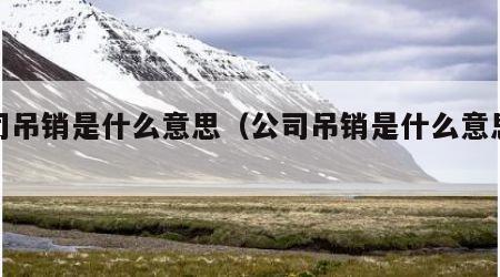 公司吊销是什么意思（公司吊销是什么意思执照）