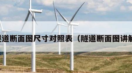 隧道断面图尺寸对照表（隧道断面图讲解）