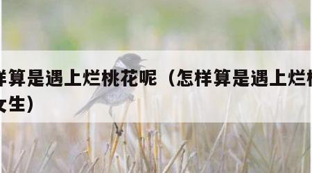 怎样算是遇上烂桃花呢（怎样算是遇上烂桃花呢女生）