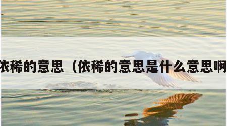 依稀的意思（依稀的意思是什么意思啊）