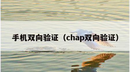 手机双向验证（chap双向验证）