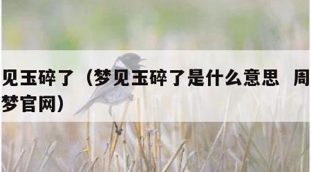 梦见玉碎了（梦见玉碎了是什么意思  周公解梦官网）
