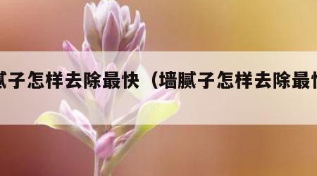 墙腻子怎样去除最快（墙腻子怎样去除最快视频）