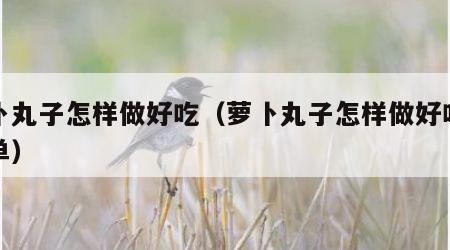萝卜丸子怎样做好吃（萝卜丸子怎样做好吃又简单）