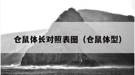 仓鼠体长对照表图（仓鼠体型）