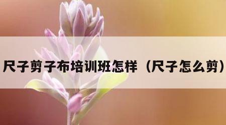 尺子剪子布培训班怎样（尺子怎么剪）
