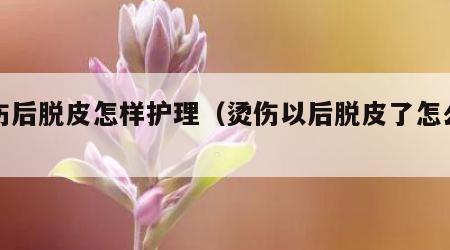 烫伤后脱皮怎样护理（烫伤以后脱皮了怎么弄）