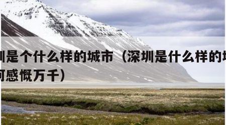 深圳是个什么样的城市（深圳是什么样的城市为何感慨万千）