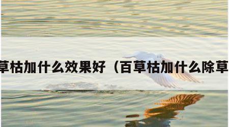百草枯加什么效果好（百草枯加什么除草快）