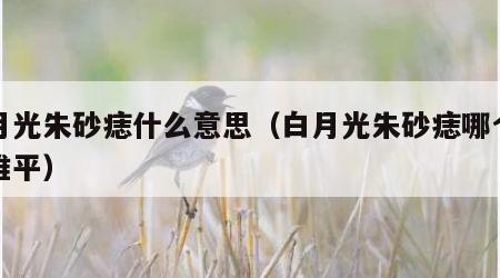 白月光朱砂痣什么意思（白月光朱砂痣哪个是意难平）